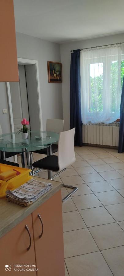 Apartments Sandra Vrsar Exterior photo